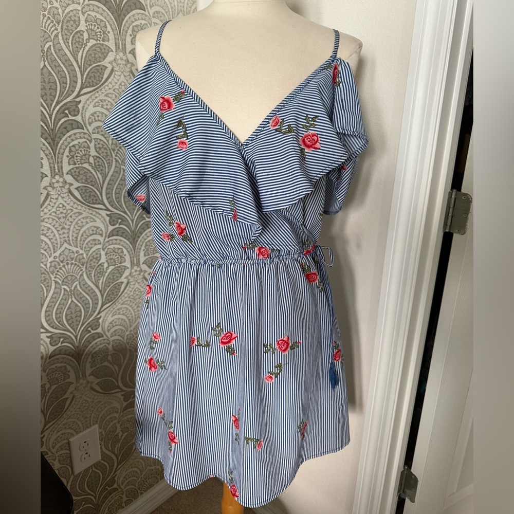 A Hint of Blush Blue and Red Striped Floral dress